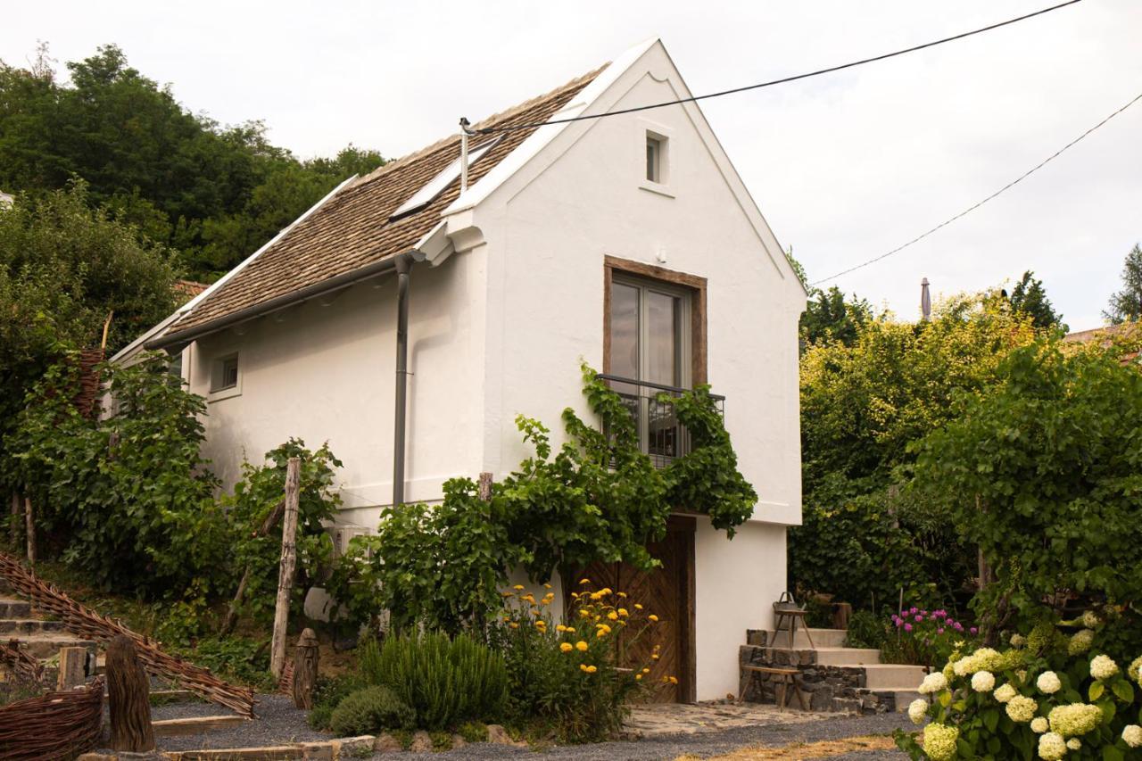 Vinonima Vendeghaz Holiday home *